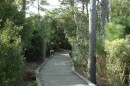 The next three photos are views from the marsh trail at Roanoke Island Festival Park.