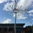 Spider Lily : A sculpture on New Bern