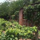 A view of the kitchen garden.