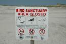 Much of the beach on the Atlantic side is off limits because it is a bird sanctuary.