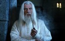 Found this pic of Gandalf. Thats the look I want to have in a few years hopefully. I will probably need hair straighteners, not sure about the pipe or the white outfit yet though?