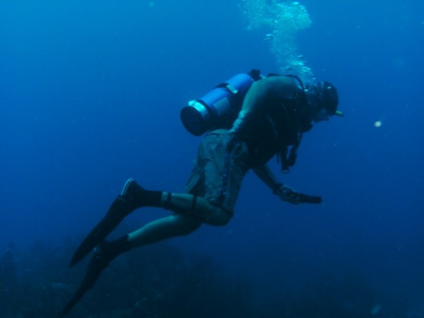 More diving Roatan
