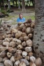 Claire practicing husking coconuts before slimming fish in Alaska