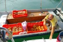 Fresh French breads and pastries right to you boat each morning.