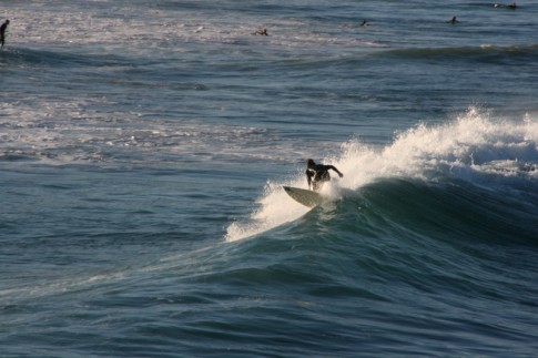 surfer: surfer