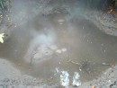 Boiling hot bubbling mud