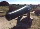 Actual cannon