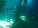 Thunderball Grotto-Staniel Cay