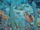 Can you see this fish?  It is not easy to spot - it is a scorpion fish