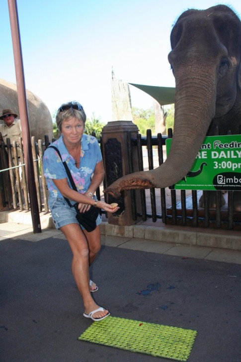 Yes I even feed Nelly when we were at the Australia Zoo