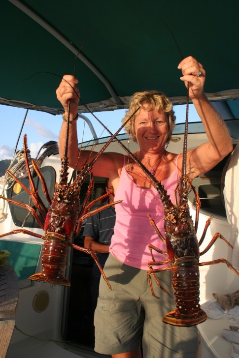 Fresh Lobsters anyone?  We managed to eat four of these monsters!!