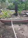 Dug Out Canoe with local Vanuatu statue: Dug Out Canoe with local Vanuatu statue