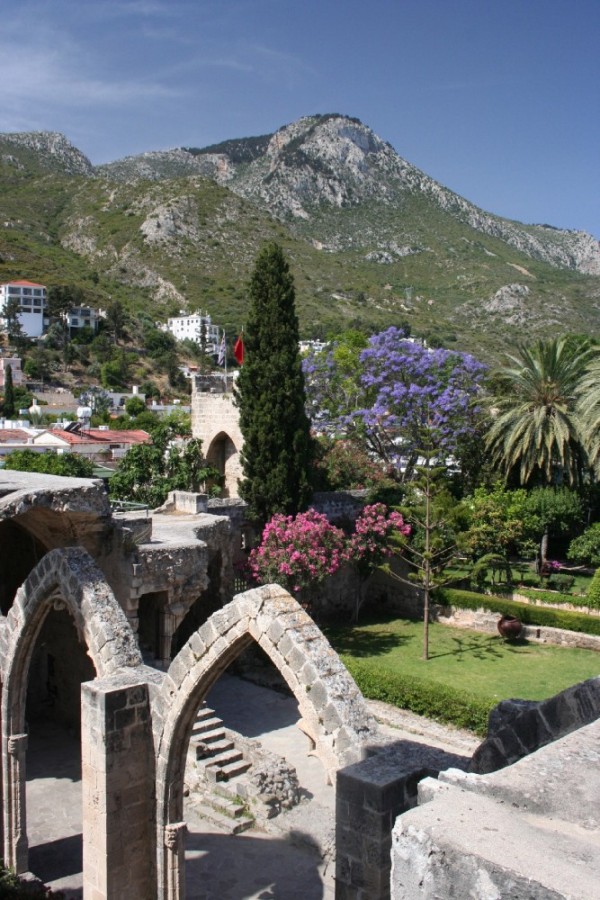 Bellapais Abbey with Jacaranda tree and mountains in the background