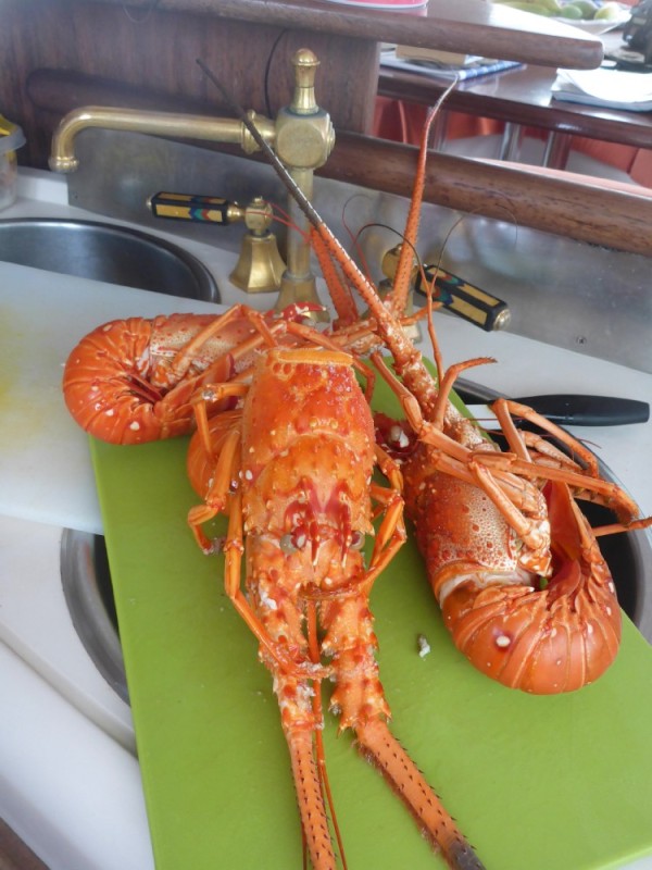 Lobster for dinner