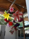 Flowers hanging at the entrance of Auckland