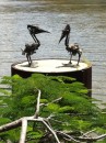 Bird Sculpture alongside the river in Brisbane