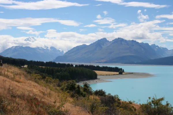 Lake Pukaki with white top of Mt Cook in the  distance