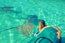 Stingray : First time with stingrays off back of our tender