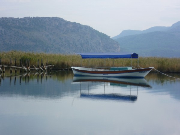 One of the blue and white Dalyman boats