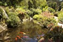 Pond in Deshaises gardens