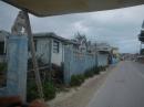 Homes along the beach road