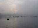 foggy morning in Plymouth