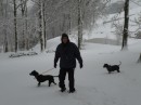 One man and his dogs