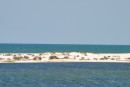 View of the Gulf of Mexico from Fort McRee