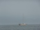 "I Am What I Am" cruising through fog down the Strait of Juan de Fuca.