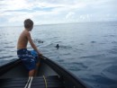 Liam and I go dolphin watching while he waits to sail Fluffles.