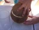 The coconut was completely full of liquid and it was the sweetest we