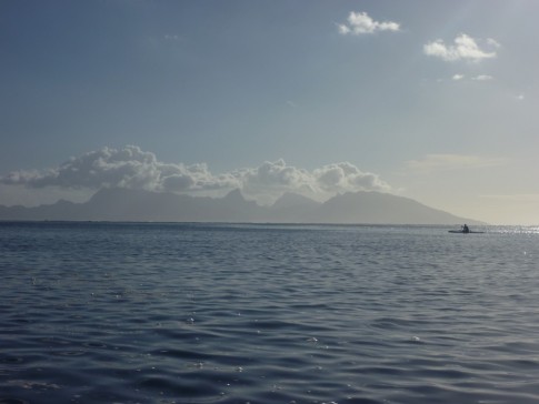 The island of Moorea, just a few miles away.
This was taken on the way back from the market at about 9 am.