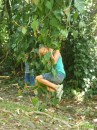 Huge vines were hanging from the trees. The kids became wanna-be Tarzans!