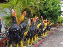 These chickens were like decoration on the grounds outside the temple. We aren