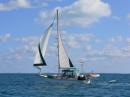 Osprey sailing toward Highbourne Cay