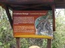 Auf Santa Cruz gibt es eine Aufzuchtstation für Galapagos Schildkröten. In diesem Gehege hat der letzte in Freiheit geborene männliche Nachfahre Lonesome George der Pinta Schildkrötenart gelebt.