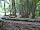 Ein vom Regenwald überwuchertes Marae.