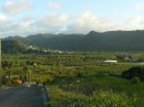 Das grüne Hinterland Saint Lucias mit Bananen- und Zuckerrohrplantagen.