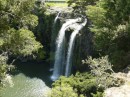 Nördlich von Whangarei liegen die Whangareifalls, der angeblich schönste Wasserfall Neuseelands.