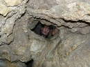 Durch dieses kleine Loch sind wir in einen anderen Teil der Höhle gekommen. Wir passten dort so gerade eben durch.