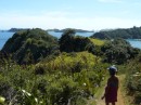 Wanderung auf Moturua Island. Die meisten Inseln und Städte haben maorische Namen. Nur die grossen Städte wie Auckland oder Wellington haben englische Namen.