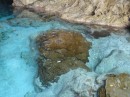 Im kristall klaren Wasser wachsen hier sogar Korallen.