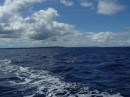 Niue von See aus. Da sieht man gut wie flach die Insel ist.