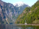 Walker Cove, Misty Fiords National Monument