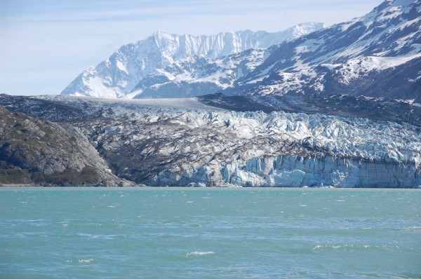 Lamplugh Glacier, Glacier Bay
