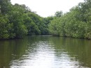 Estuary river through mangroves, Bahia Tenacatita