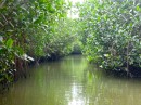 Estuary river through mangroves, Bahia Tenacatita