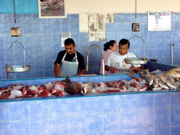 Fish stall at La Cruz