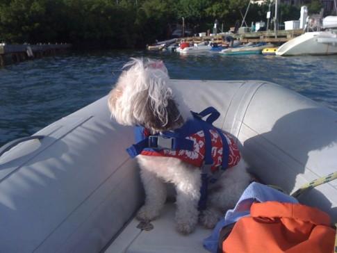 Sophie is on watch during a dinghy ride to the dock.