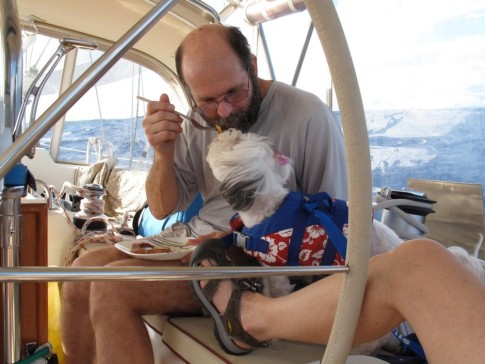 How many other dogs are getting hand fed French toast for breakfast while sailing in the Caribbean 1500? BTW, that spot on the top of my head is from repeatedly banging my scalp on the dodger frame as I climb from the salon into the cockpit.